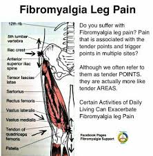 Pin On Fibro
