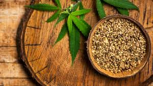 How marijuana companies are building brand loyalty by selling seeds to  consumers