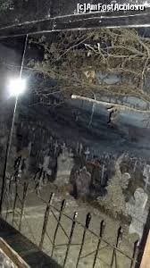 Cumpara acum, 100% sigur prin garantia de livrare. Castelul Groazei Terifiant Impresii DescoperÄ Zona Bran Bran Amfostacolo