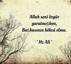 Ozgurluk Ile Ilgili Anlamli Sozler Hur Olmak Ile Ilgili Sozler Guzel Sozler Picture Quotes Funny Quotes Inspirational Quotes