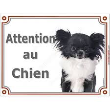 Chihuahua Tete Plaque Portail Attention Au Chien Panneau Pancarte Attention Au Chien Chihuahua Noir Chihuahua
