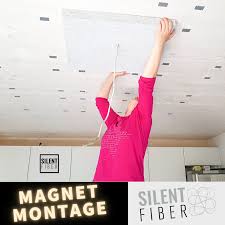 Der preis gilt für 2 stück (je größe). Magnete Zur Montage An Der Decke Bauspot De