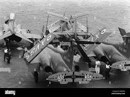 Image result for Gray 1971 Fleet