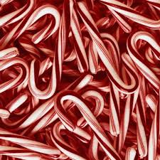 (eats willy wombat's cane) it really is made of candy!. The Origin Of Candy Canes And Their Ties To Christianity Holidappy Celebrations