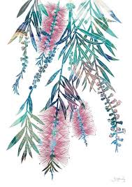 Pink Bottlebrush Print Botanical Living Room Art Flower Etsy Art Australian Painting Native Art