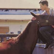 2021 magic millions 3yo guineas winner is aim: The Five Best Horse Racing Movies Topics Phar Lap Michelle Payne Secretariat Seabiscuit Thoroughbred Racing Commentary
