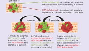 Image result for Trabectedin