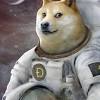 Changes in the value of 1080 dogecoin in us dollar. Https Encrypted Tbn0 Gstatic Com Images Q Tbn And9gcrqy0xbpm6irwo3yyiaw58icl Riwghl Vglpqc6bg Mi V8u8b Usqp Cau