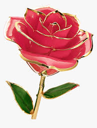 You can download different size of wallpaper for you mobile. Rose Flower Images Download Hd Png Download Kindpng
