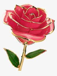 Free download (800 x 534px) full resolution download (5289 x 3526px) beautiful pink flower at the end of a twig. Rose Flower Images Download Hd Png Download Kindpng