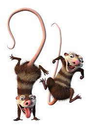 Ice Age Photo Crash And Eddie Ice Age Ice Age Funny Cartoon