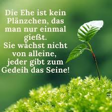 Ehe Spruche Zum Versenden Fur Karten 40 Lustige Nette Weisheiten In 2020 Ehe Spruche Weisheiten Spruche Zitate