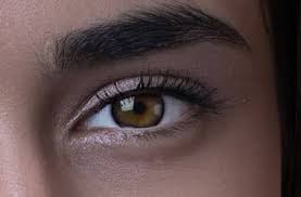 Ela Rengi Goz Nasil Olusur All About Vision