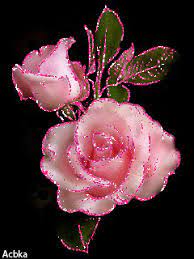 Flower gif wallpaper gifs | tenorwith tenor, maker of gif keyboard, add popular flower gif wallpaper animated gifs to your conversations. Gif Wallpaper Download Hd Flower