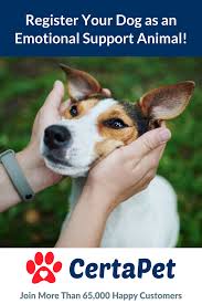 Let Us Help You Register Your Dog As An Emotional Support Animal Emotional Support Animal Emotional Support Dog Support Dog