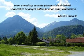 [Resim: images?q=tbn:ANd9GcRM5ey1wu4hNovzVaU745x...MCSJo55UBi]