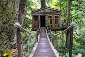Stream treehouse masters free with your tv subscription! Treehouse Masters Host Pete Nelson S Gives A Tour Of Treehouse Point