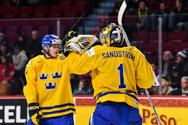 Flyers Loan Felix Sandstrom To Vasterviks Ik