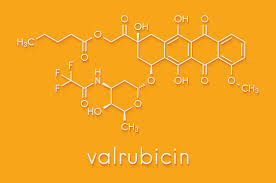 Image result for Valrubicin