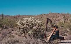 Summer Solstice Harp Sadhana