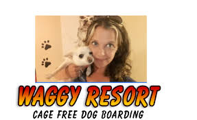 Waggy tails is focused on providing educational content, preferred products and qualified services to humans that. Waggy Resort Cage Free Dog Boarding Business Startup Fundraising With Gogetfunding