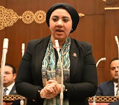 النائبة أميرة صابر: التغيرات المناخية كارثة.. ونواجه فجوة تشريعية وغياب  التنسيق الحكومي - بوابة الشروق - نسخة الموبايل