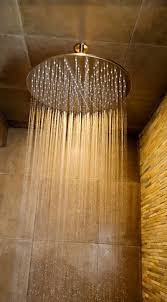 Pin By Michelle Leigh On House Design Rain Shower Head Rain Shower Bathroom Restoration