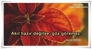 Akil Hazir Degilse Goz Goremez Kisisel Gelisim