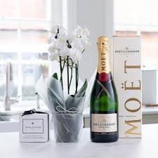 We've got glass sets, gift boxes and more, all helping to make your present special and unique. Plant Gift Sets By Plant Plants