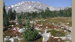 Shasta-Trinity National Forest - Home