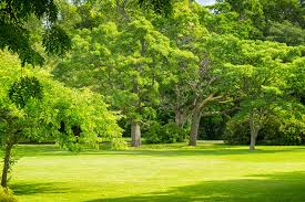 Maybe you would like to learn more about one of these? Garden Centers Gardener S Supply Company