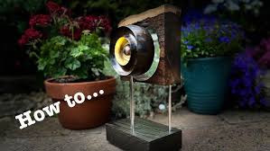 Image result for Combretum schumannii