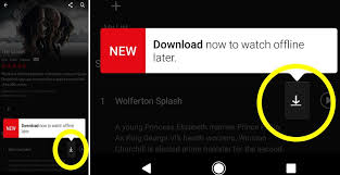 How To Download Netflix Shows For Offline Viewing