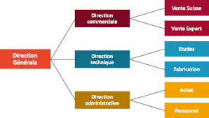 Check spelling or type a new query. Les Differents Types D Organigramme D Entreprise Ad Valoris