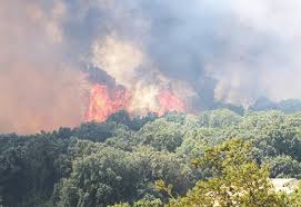 Depuis le début du mois de juin, 18 incendies ont été signalés au niveau de la wilaya de tizi ouzou. Baisse Significative Des Feux De Foret En 2018 Toute L Actualite Sur Liberte Algerie Com