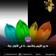 ما بين الأبيض والأسود لنا في الألوان حياة الباحثون المصريون