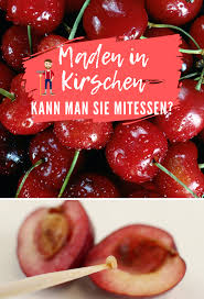 Maden In Kirschen Kann Man Sie Mitessen Kirschen Fruchte Essen