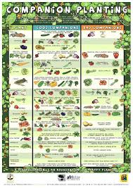 Companion Planting Reference Guide Garden Tower Project