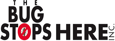 The top notch philosophy will always employ a less materials, less often approach. Pest Control Long Island Exterminator Long Island Ny Pest Control For Rodent Infestations Bed Bugs Roaches Spider Fleas Ticks And More