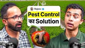 GRAFTING TECHNOLOGY: 4x Your Yield In Tomatoes, Brinjal & Capsicum