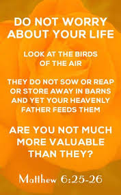 Look At The Birds Of The Air Nlt Pin On Quotes