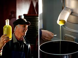 Lis Andi Producteur D Huile D Olive A Valreas Oleiculteur