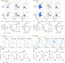 Ccr7 geo profiles, ncbi search the gene expression profiles from curated datasets in the gene expression omnibus. Aging Associated Deficit In Ccr7 Is Linked To Worsened Glymphatic Function Cognition Neuroinflammation And B Amyloid Pathology Science Advances