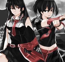 Pin On Akame Ga Kill Red Eyes Sword