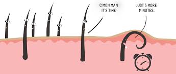 Ingrown Hairs Shama S Collection