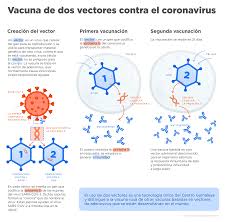 La vacuna de pfizer utiliza una técnica que hasta ahora no se ha usado en vacunas para los humanos. About Vaccine Official Website Vaccine Against Covid 19 Sputnik V