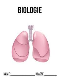biologie deckblatt atmung schulbeginn ersterschultag einschulung vorlage ausdrucken schule deckblatt deckblatter deckblatt bio deckblatt