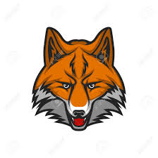 Red Fox Head Isolated Animal Muzzle Vector Sport Club Mascot Royalty Free Cliparts Vectors And Stock Illustration Image 144444726 Market shop store opening soon sign with modern glowing neon effect and geeometric border also can be used promotion online shop social media post print website.