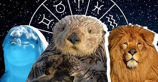 Cancer in wildlife seems to be more prevalent than previously thought and could have considerable effects on the populations of some species. Find Out The Spirit Animal That Matches Your Zodiac Sign From Dolphins To Elephants