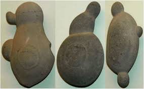 Image result for Sclerocroton